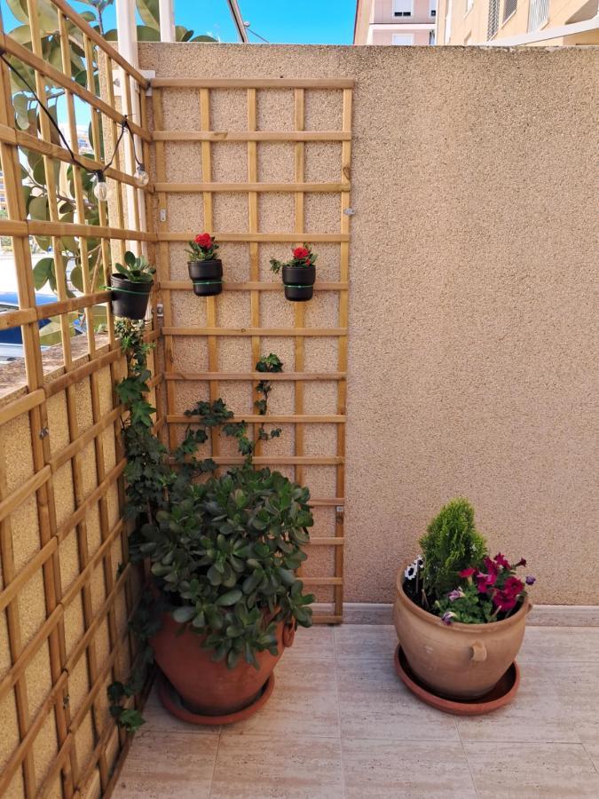 Apartamento Dama De Guardamar Apartment Guardamar del Segura Exterior photo